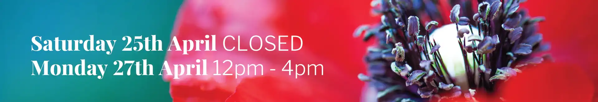 Christmas Hours Desktop