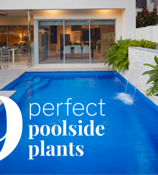Perfect Poolside Plants